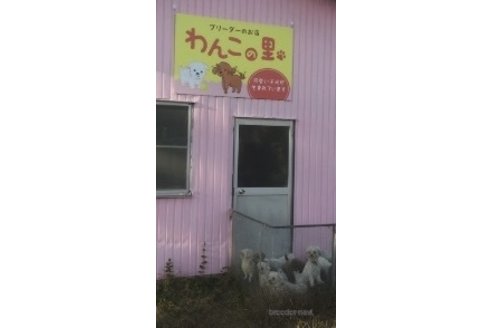 只腰利宏ブリーダーの詳細の1枚目